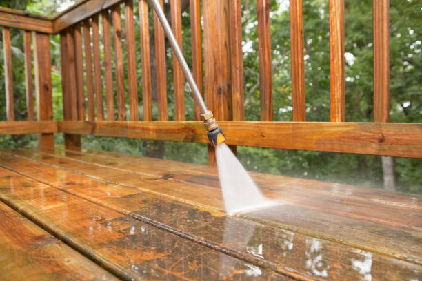 Best Dumpster Area Cleaning  in Elgin, IL